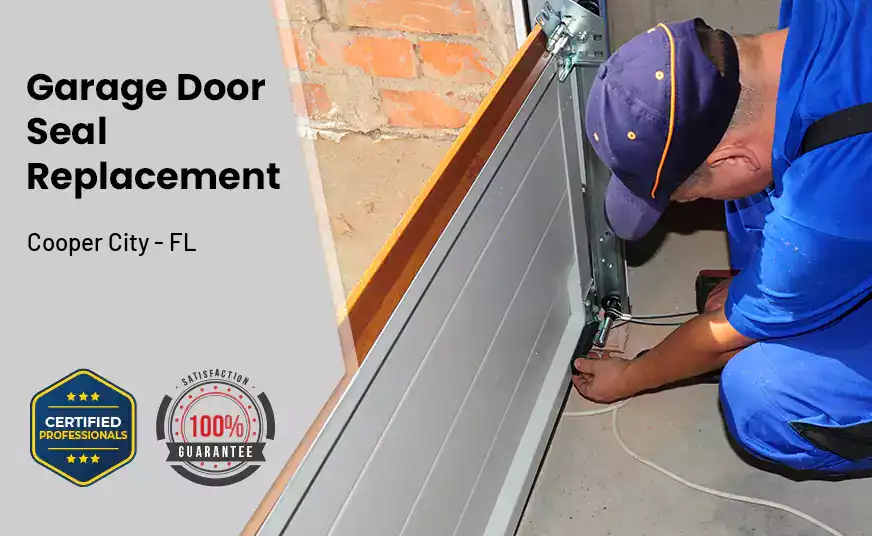 Garage Door Seal Replacement Cooper City - FL